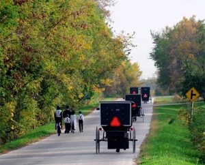 Amish Kingston Dalton settlement