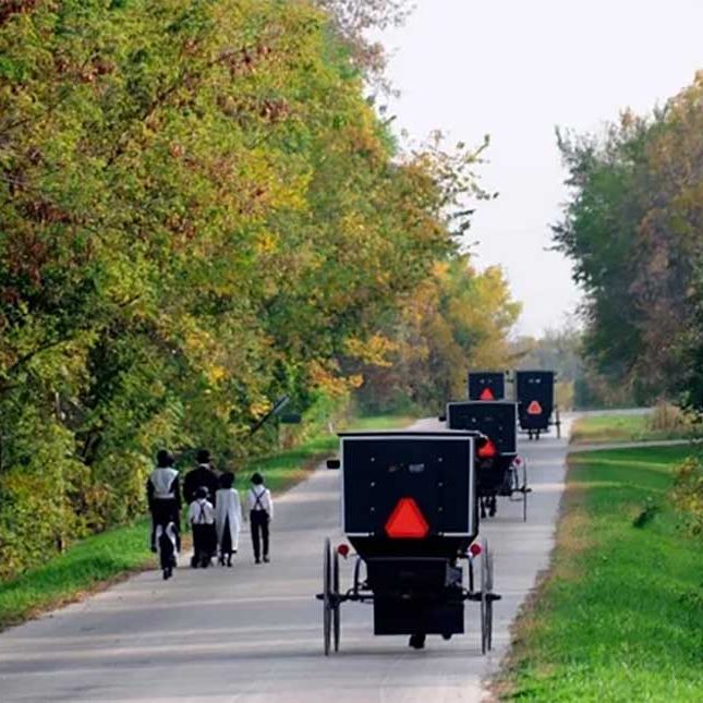 Amish Kingston Dalton settlement