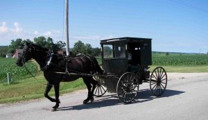 Wisconsin's Amish Experience