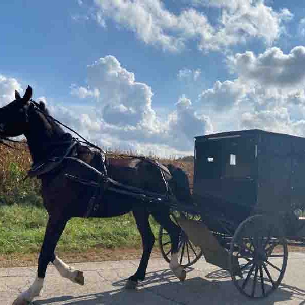 Wisconsin Amish Dalton Kingston communities near Adeline's Retreat