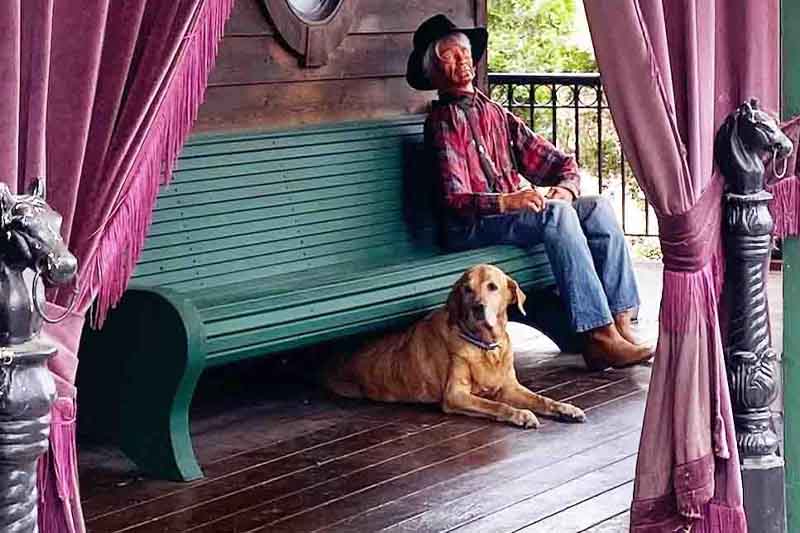 Pet Friendly Large Vacation Home Rentals in Wisconsin