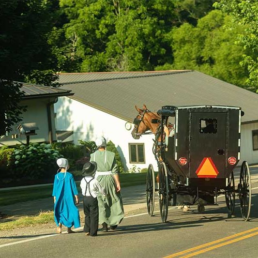 Awesome Wisconsin Amish Adventures