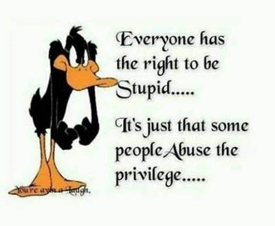 Everybody has the right to be stupid