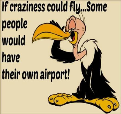If craziness could fly