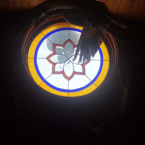 Hand crafted stained glass Adeline's Retreat