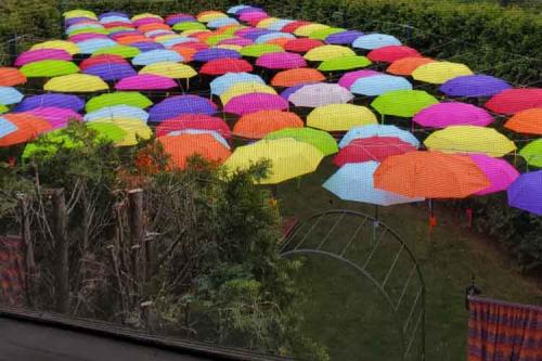 Adeline's Retreat Canopy of Color Umbrella Garden
