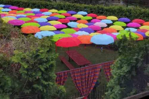 Adeline's Retreat Canopy of Color Umbrella Garden