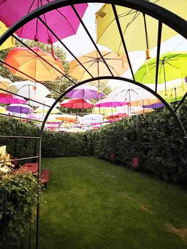 Adeline's Retreat Canopy of Color Umbrella Garden