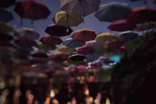 Adeline's Retreat Canopy of Color Umbrella Garden