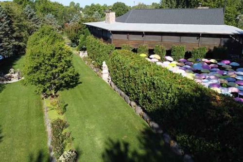 Adeline's Retreat Canopy of Color Umbrella Garden